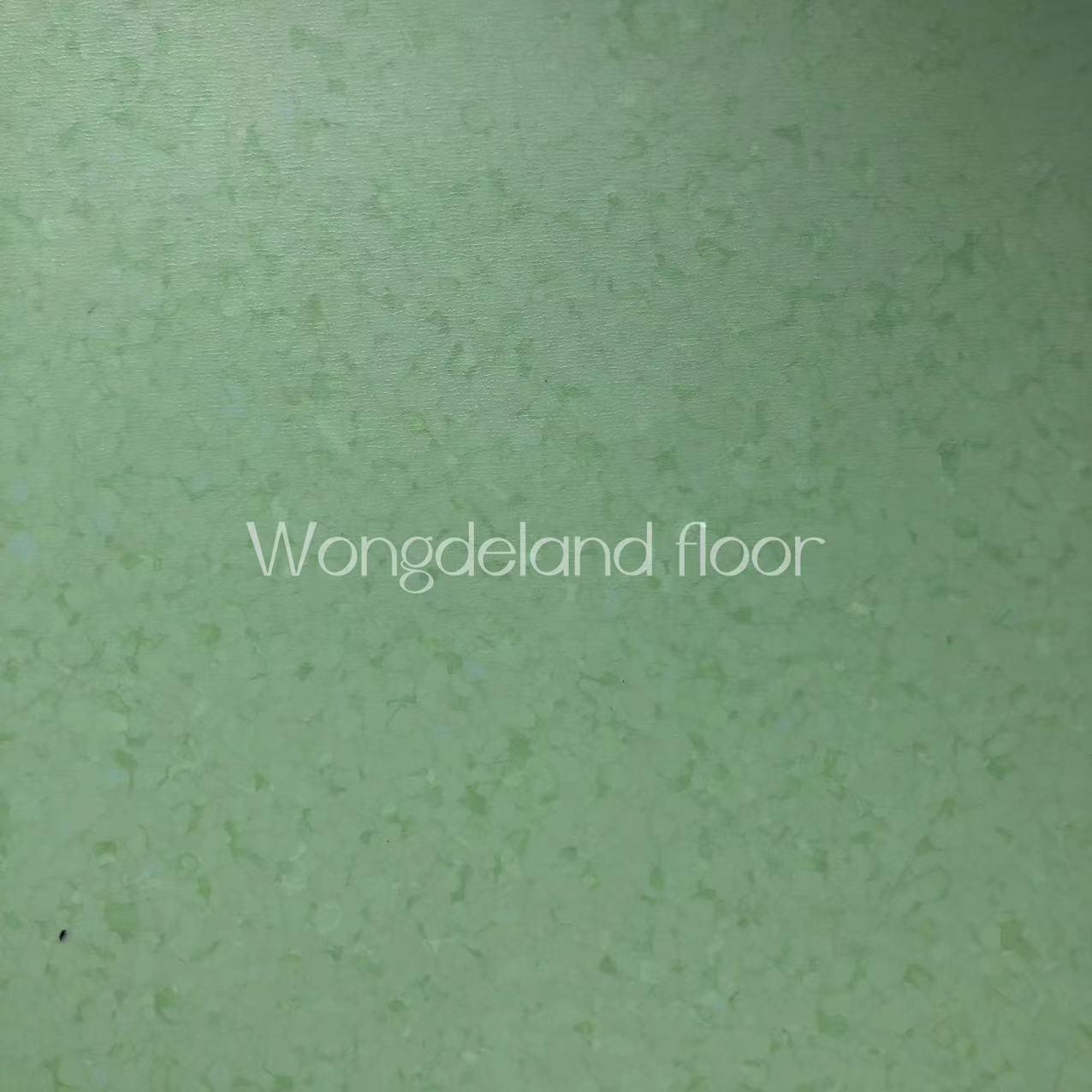 Hot Selling Antibacterial 2mm Vinyl Hospital Floor PVC Rolls Homogeneous Vinyl Flooring