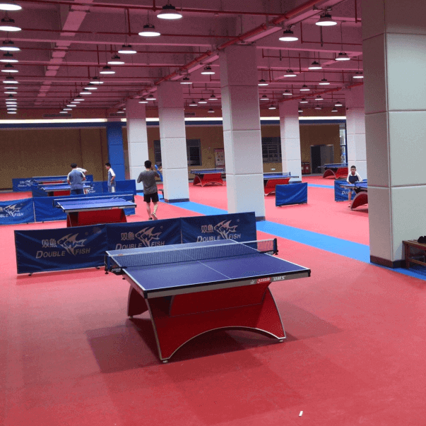 1.8mx20m School Used Sport Court PVC Flooring for Basketball Volleyball Ping-Pong Tennis Ball Gym Da